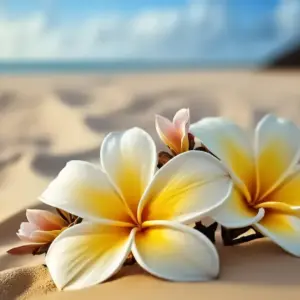 Hooponopono Kurs Beziehungen heilen